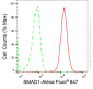 KD-Validated Anti-SMAD Family Member 1 Rabbit Monoclonal Antibody